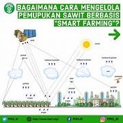 Smart Farming di Perkebunan Sawit